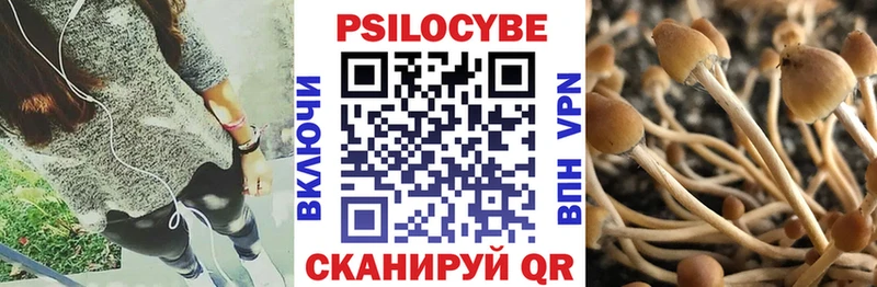 Галлюциногенные грибы мухоморы  Купить где  Пересвет 