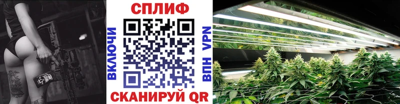 Купить где  Пересвет  Конопля марихуана 